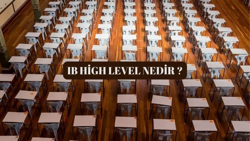  ib level nedir, ib high level, high level 
