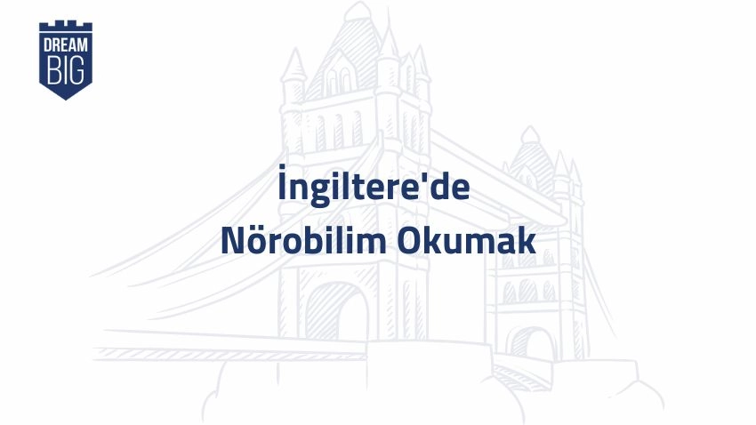 Yurtdışında Üniversite Okumak, yurt dışında üniversite danışmanlığı için bizimle iletişime geçebilirsiniz.