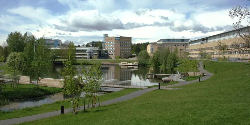 Umeå University