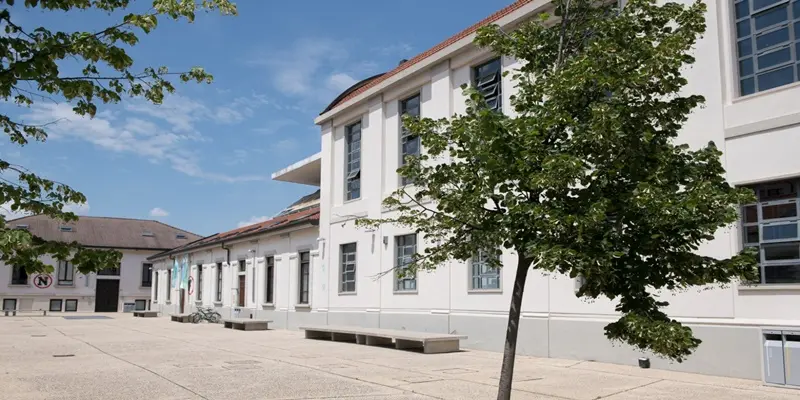 Yeni Güzel Sanatlar Akademisi
