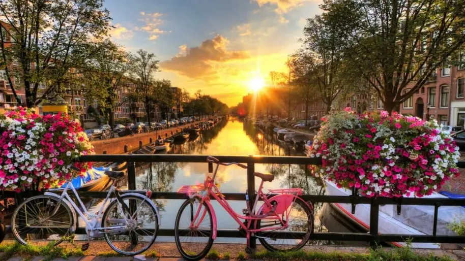 Amsterdam şehrindeki en iyi üniversitelere danışmanlık ediyoruz.