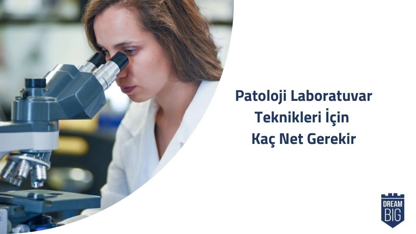 Yurtdışında Üniversite Okumak, yurt dışında üniversite danışmanlığı için bizimle iletişime geçebilirsiniz.