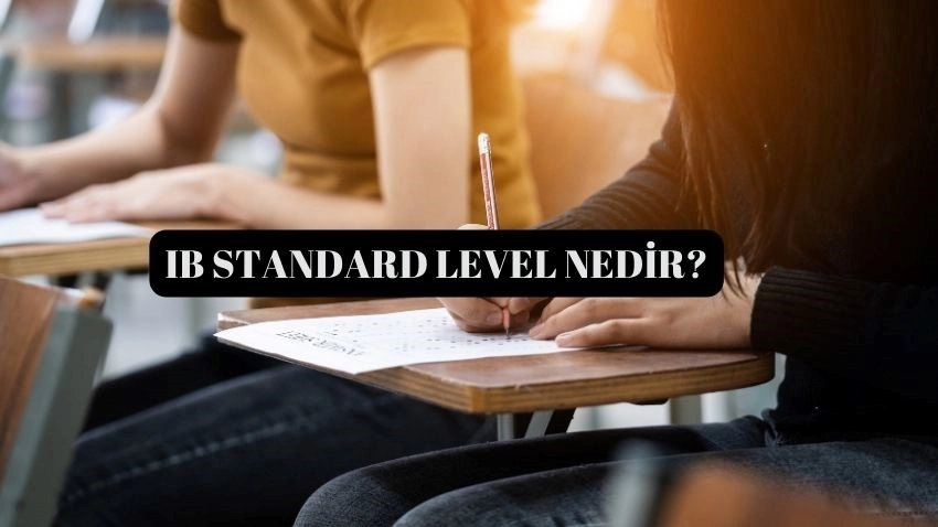  ib level nedir, ib standard level, standard level 